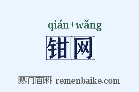钳网是什么意思的图片